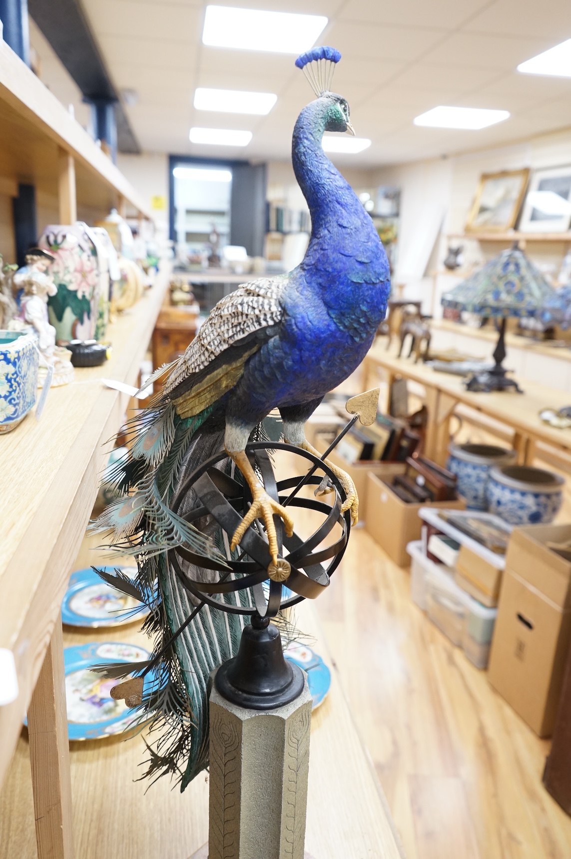A large Border Fine Arts Regal Splendour Peacock, 77cm